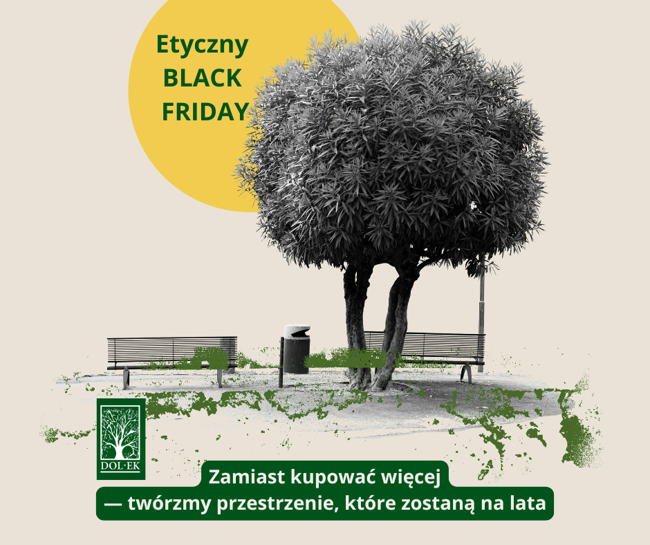 Etyczny Black Friday: zamiast kupować więcej — twórzmy przestrzenie, które zostaną na lata